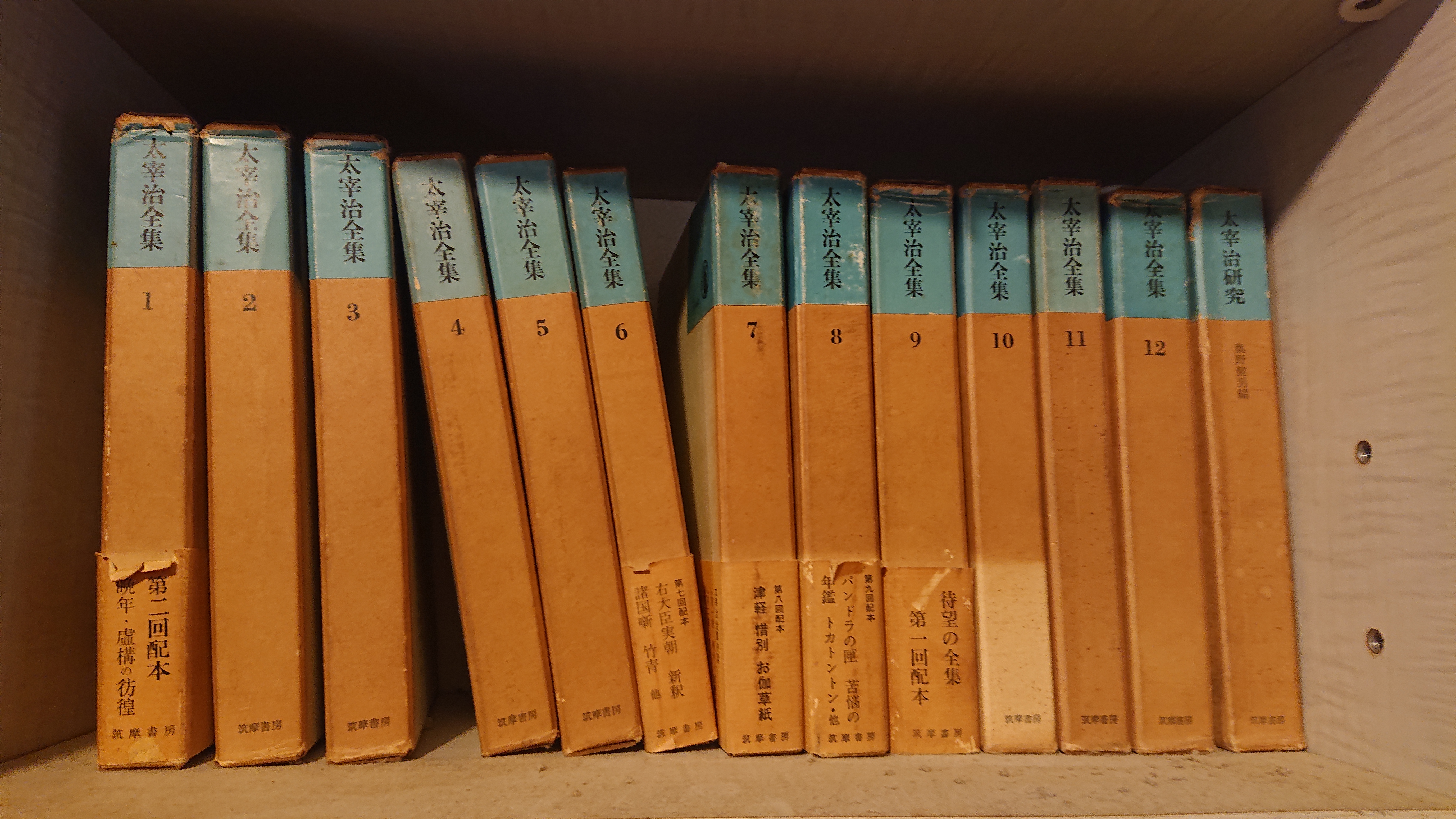 境遇を自分に重ね合わせる―文学全集、一家に一セットあると思っていた